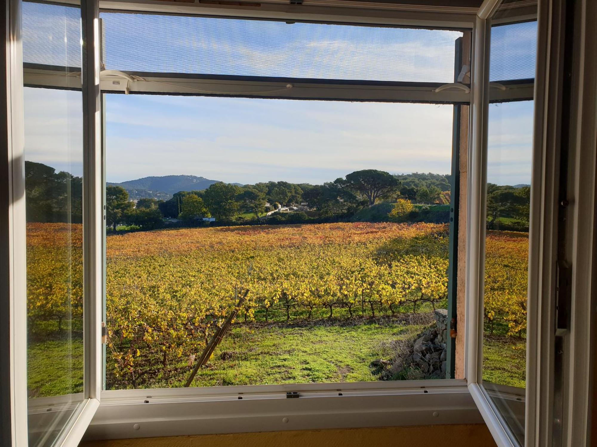 Domaine De La Navicelle Villa Le Pradet Eksteriør bilde