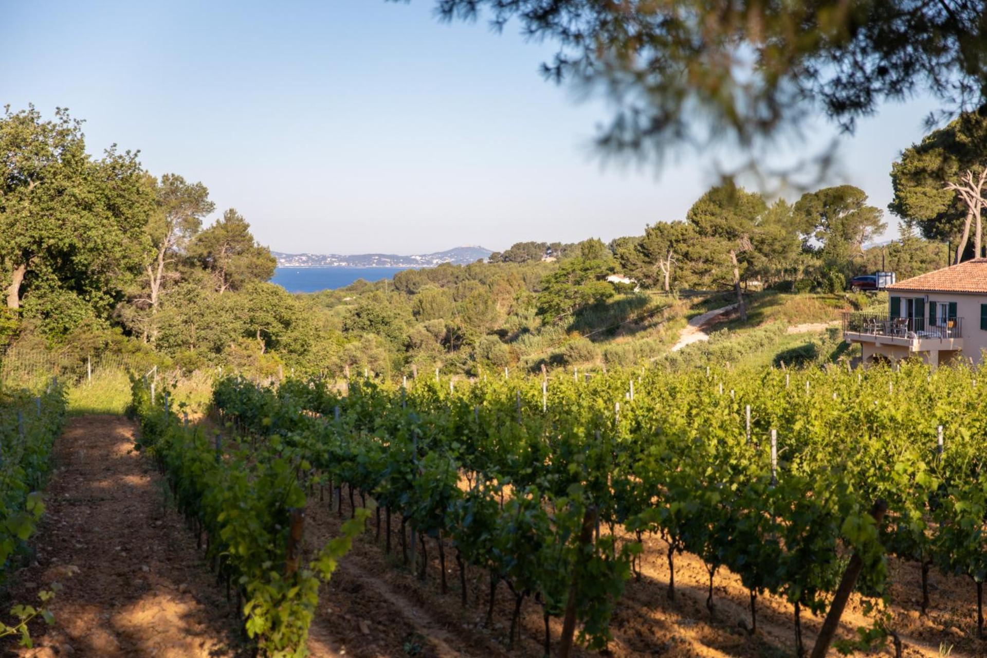 Domaine De La Navicelle Villa Le Pradet Eksteriør bilde