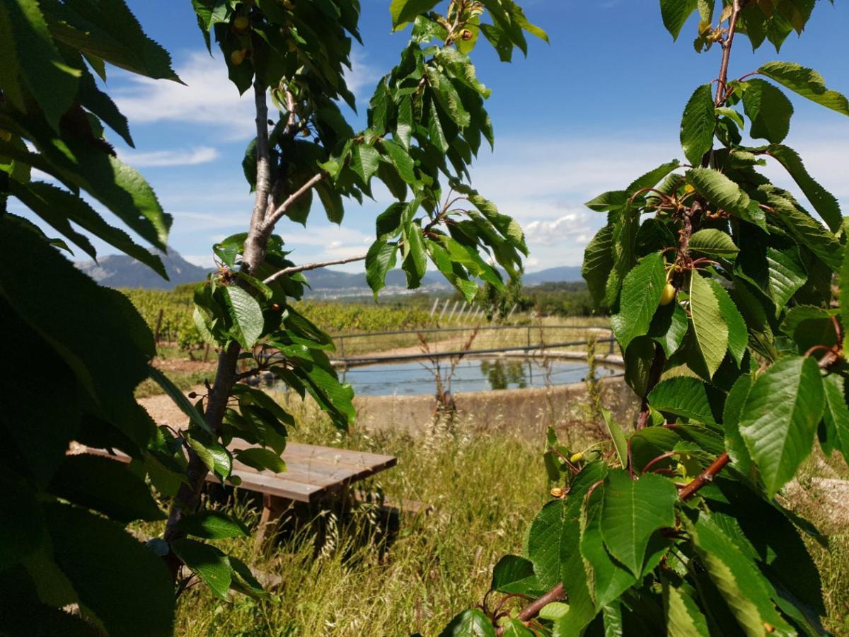 Domaine De La Navicelle Villa Le Pradet Eksteriør bilde